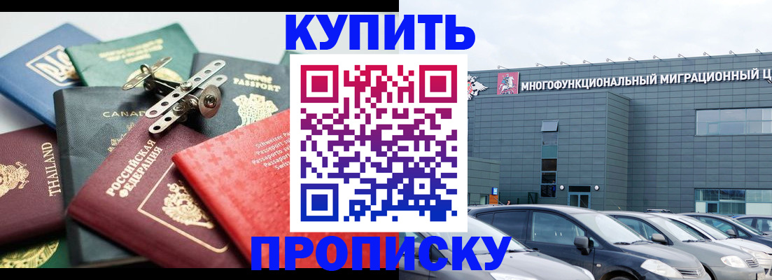 регистрация для школы в Сосновом Бору